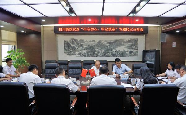 四川能投发展党委召开“不忘初心、牢记使命”专...